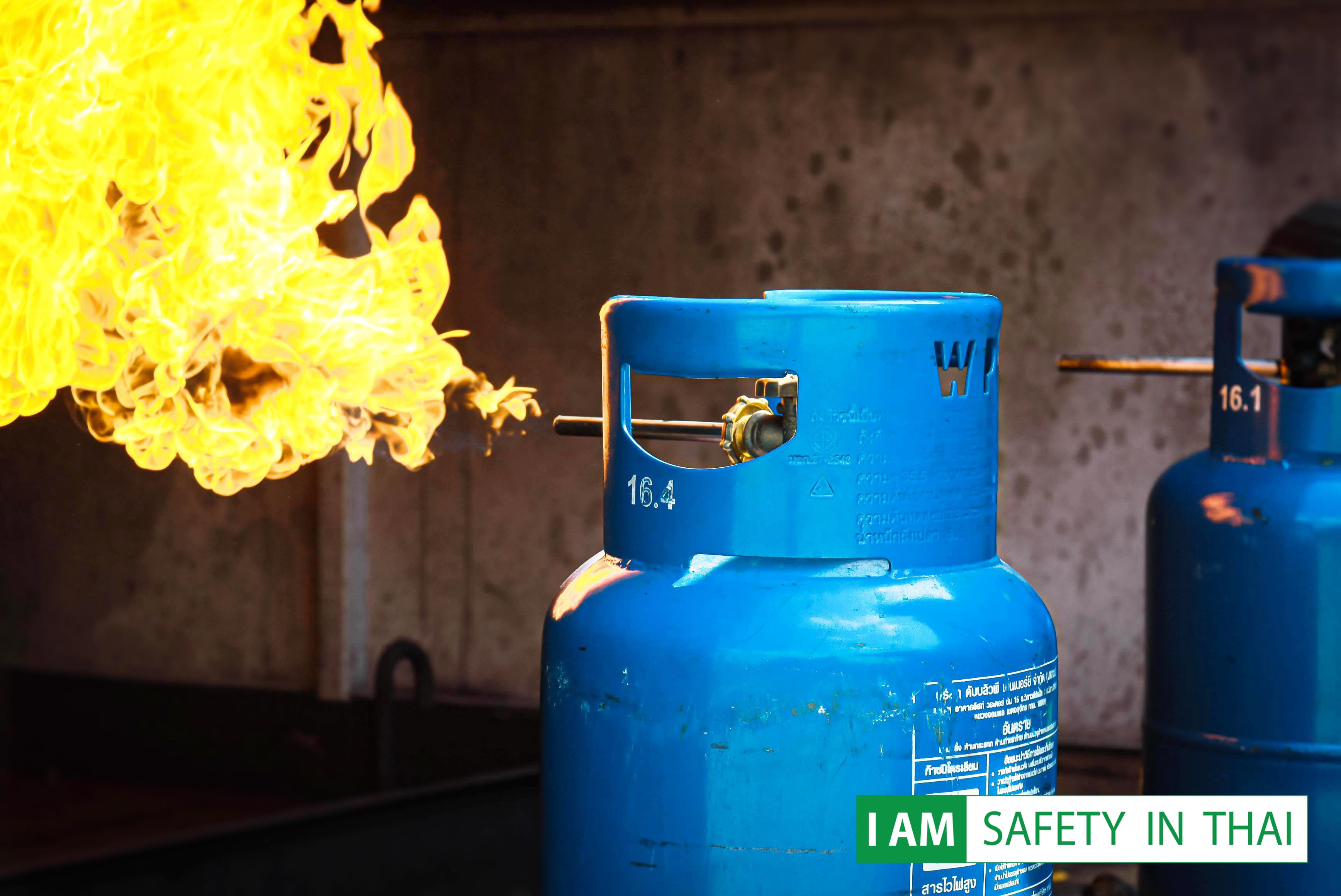 ผู้เฝ้าระวังไฟ